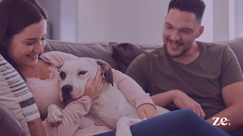 ¿Por qué cada vez más jóvenes prefieren perros a hijos?